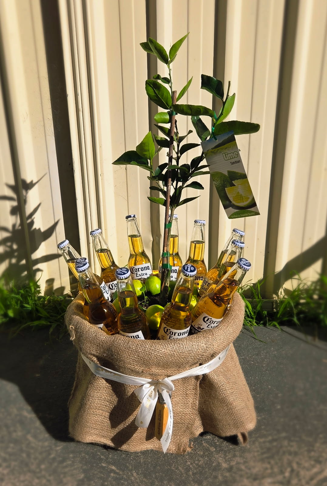 JUST ADD LIME